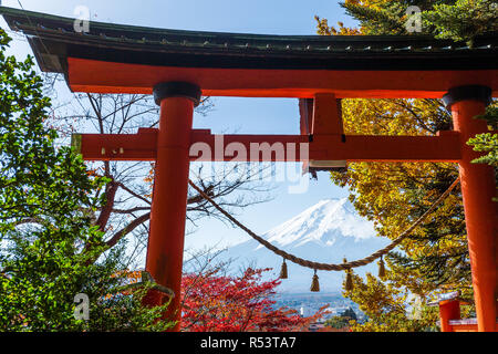 Torii, ahorn Baum und Berg Fuji in Japan Stockfoto