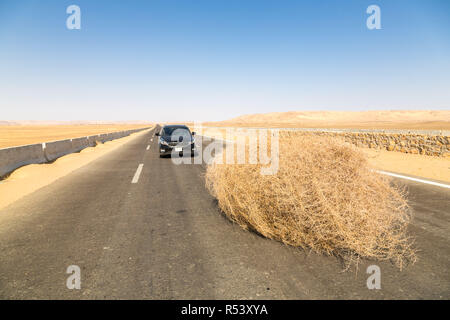 Ein Auto von einem riesigen TUMBLEWEED auf einer Autobahn mit sandigen Dünen angehalten, zwischen Oase Bahariya und Farafra, Sahara, die Westliche Wüste Ägyptens. Stockfoto