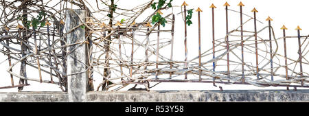 Rostigen Zaun mit Kletterpflanze isoliert auf weißem Hintergrund und Clipping-Pfad Stockfoto