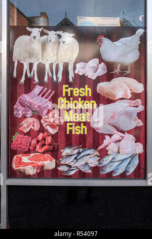 Frische Hähnchen, Fleisch und Fisch Bilder im Supermarkt Fenster, Stadtzentrum Stockfoto