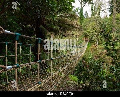 Die Burma Seilbrücke, die Lost Gardens of Heligan, St Austell, Cornwall, England, Großbritannien. Stockfoto