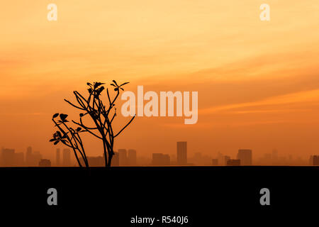 Baum Silhouette mit Stadt- und Sonnenuntergang Hintergrund Stockfoto
