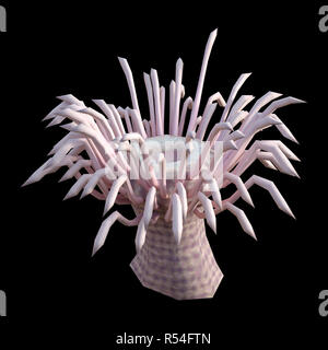 3D-Rendering einer Seeanemone auf schwarzem Hintergrund Stockfoto