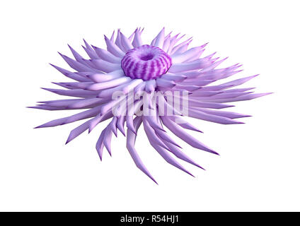 3D-Rendering einer Seeanemone auf weißem Hintergrund Stockfoto