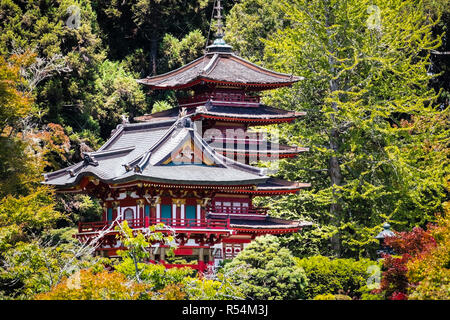 Juli 20, 2018 San Francisco/CA/USA - Pagoden durch Bäume und üppige Vegetation, Japanischen Tee Garten im Golden Gate Park Stockfoto