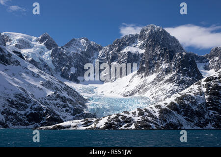 Blaue Gletscher in die Drygalski Fjord auf South Georgia, Antarktis Stockfoto