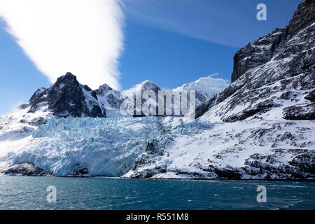 Blaue Gletscher in die Drygalski Fjord auf South Georgia, Antarktis Stockfoto