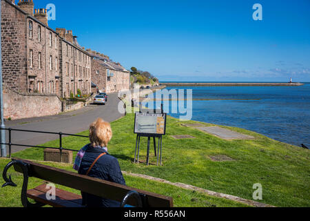 Berwick upon Tweed, dem Pier und den Leuchtturm, Lowrie Trail, North Northumberland, England, Großbritannien Stockfoto