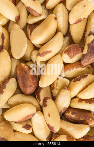 Paranüsse Stockfoto