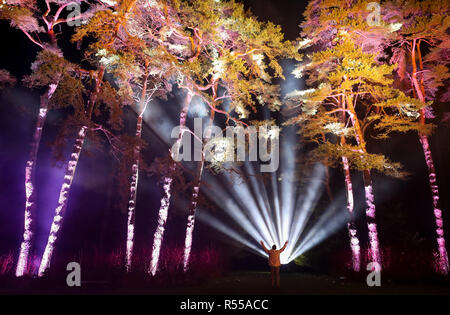 Eine Person bewundert die Illuminationen beim Starten der verzauberte Weihnachten Attraktion in Westonbirt Arboretum in der Nähe von Tetbury. Stockfoto