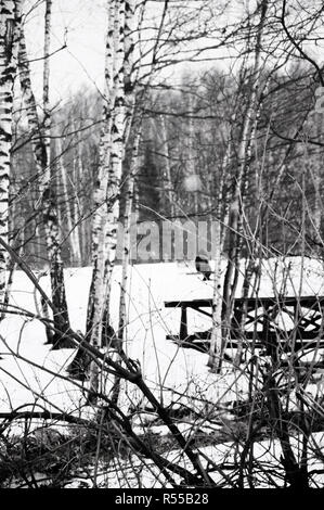 Winterlandschaft, Schwarzweiß-Bild Stockfoto