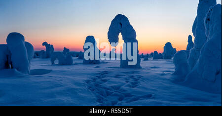 Ein breites Panorama kurz nach Sonnenuntergang mit einer tiefen Glühen in den Himmel auf dem Höhepunkt im Riistituntie National Park in der Nähe von Ruka, mit einem weiten Ty Stockfoto