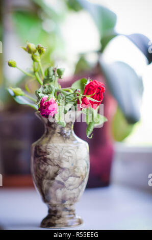 Verwelkte Rose in einer Vase Stockfoto