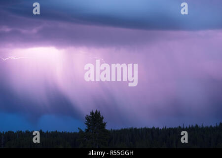 Über Norris Canyon Gewitter Blitzschlag Yellowstone National Park Stockfoto