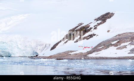 Rote Zelte von Campingplatz und Eselspinguine, Neko Harbour, Arctowski Halbinsel, Antarktis Stockfoto