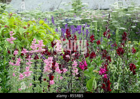 Easton ummauerten Garten - Garten liebevoll genannt "Die Pickery', während Sweet Pea Woche, Easton, Lincolnshire, Großbritannien Stockfoto