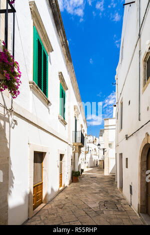 Eine schöne Gasse in Locorotondo, mit typischen weißen Häusern und bunten grünen Fensterläden, Apulien, Italien Stockfoto