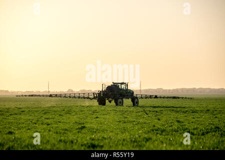 Traktor auf den Sonnenuntergang im Hintergrund. Traktor mit hohen Rädern ist das Machen von Dünger auf jungen Weizen. Die Verwendung von fein verteilten Sprühnebel Chemikalien Stockfoto