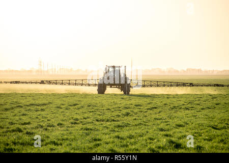 Traktor auf den Sonnenuntergang im Hintergrund. Traktor mit hohen Rädern ist das Machen von Dünger auf jungen Weizen. Die Verwendung von fein verteilten Sprühnebel Chemikalien Stockfoto