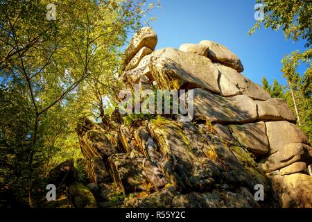 Felsformation mit bizarren Strukturen im Bergwald. Im Harz in Deutschland gesehen. Stockfoto