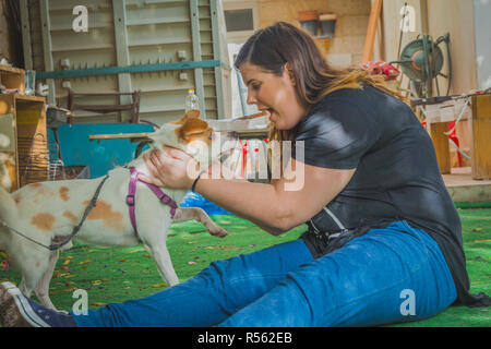 Junge Frau spielen mit Jack Russell Terrier Hund im Hinterhof Stockfoto