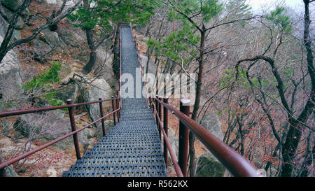 Treppen in die Berge. Seoraksan Nationalpark. Südkorea Stockfoto