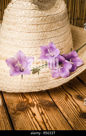 Strohhut und blühenden Campanula, close-up Stockfoto