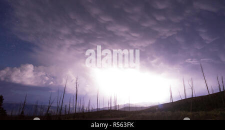 Über Tower Creek Gewitter Lightning Strikes Yellowstone-Nationalpark Stockfoto