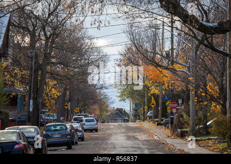 OTTAWA, Kanada - 10. NOVEMBER 2018: Typisch Nordamerikanische Wohnstraße im Herbst in Centertown, Ottawa, Ontario, während ein herbstnachmittag, wi Stockfoto