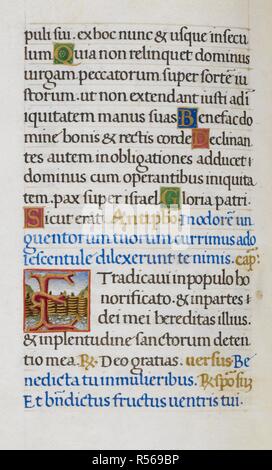 Text Seite mit ersten 'E'. Mirandola Stunden. Italien, ca. 1490-1499. [Ganze folio] Text Seite von den Stunden der Jungfrau. Psalm 124; Sirach 24, 16, beginnend mit der ersten 'E', der Äste gegen einen malerischen Hintergrund Bild von Mirandola Stunden gebildet. Ursprünglich veröffentlicht in Italien produziert, ca. 1490-1499. Quelle: Hinzufügen. 50002, f. 36 v. Sprache: Latein. Stockfoto