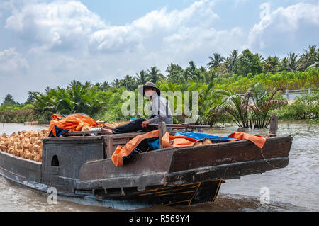 Vietnamesische Fährmann steuert seine beladene traditionellen hölzernen Bootes voller Kokosnüsse entlang der Cai Rang River, in der Provinz Can Tho, Mekong Delta, South Vietnam Stockfoto