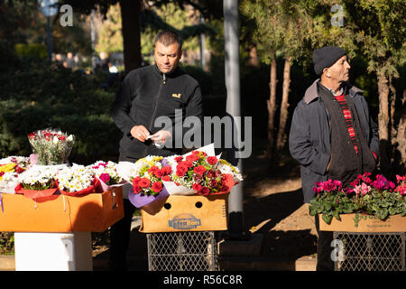 Ankara/Turkey-November 24 2018: Blume Verkäufer Männer in Guven Park in Kizilay Nachbarschaft Stockfoto