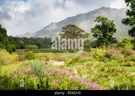Die Aussicht von Kirstenbosch National Botanical Garden zu Tafelberg Stockfoto
