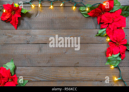 Weihnachten Weihnachtsstern Blumen auf Holzbohlen Hintergrund mit Beleuchtung Stockfoto