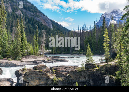 Fluss im Yoho National Park, British Columbia, Kanada Stockfoto