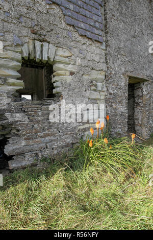 Toe-Kopf, West Cork, County Cork, Irland. Stockfoto