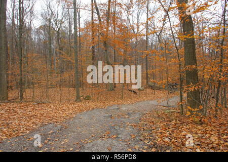 Trail zum Blauen Henne fällt, Cuyahoga Valley National Park, Ohio Stockfoto