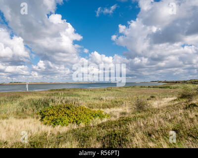 Panorama der Salzwiesen der Mokbaai, Einlass des Wattenmeer auf der westfriesischen Insel Texel, Niederlande Stockfoto