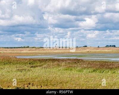 Panorama der Salzwiesen der Mokbaai, Einlass des Wattenmeer auf der westfriesischen Insel Texel, Niederlande Stockfoto