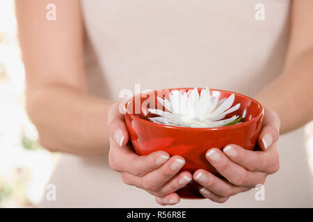 Frau Holding Seerose Stockfoto