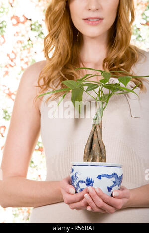 Frau Holding Zimmerpflanze Stockfoto