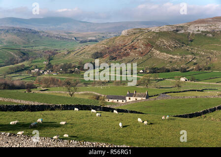 Blick auf den Weiler Wharfe, in der Nähe der Austwick und Ingleborough Peak in den Yorkshire Dales National Park, Großbritannien Stockfoto