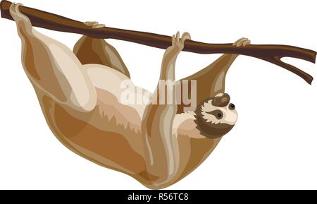 Faultier Symbol. Cartoon von sloth Vektor Symbol für Web Design auf weißem Hintergrund Stock Vektor