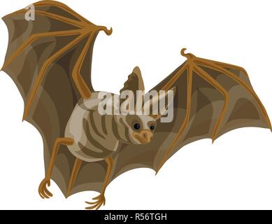 Wilde bat Symbol. Cartoon von Wilden bat Vektor Symbol für Web Design auf weißem Hintergrund Stock Vektor