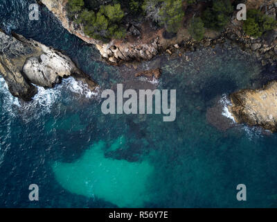 Cap Falco Strand mit türkisblauen Wasser und Grün transparent an der felsigen Küste, Blick direkt von oben. Antenne drone Fotografie. Mallorca oder Mallorca Insel Stockfoto