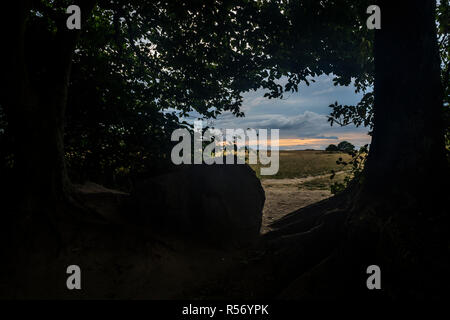 Blick aus dem Wald auf Ackerland an der Ostseeküste in Schleswig-Holstein, Deutschland 2018. Stockfoto