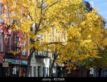 NEW YORK CITY, ca. 2018: Der historische Mcsorely alte Ale House steht unter bunten Herbst Bäume entlang der 7th Street East Village in der Nähe von Stockfoto