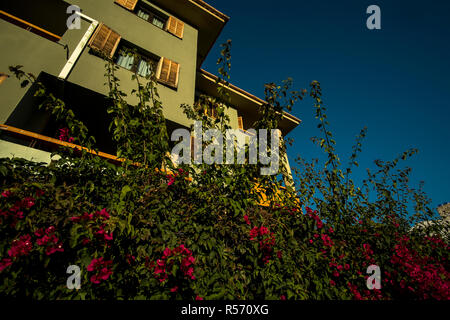 Apartments Bressol in Port de Pollenca, Mallorca Stockfoto