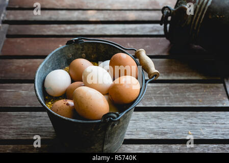 Metall Eimer voller Bio huhn eier Stockfoto