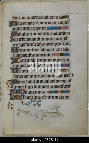 Bas-de-Seite Szene von zwei Hunde Jagd ein Hirsch. Psalter (die "Queen Mary Psalter"). England (London/Westminster oder East Anglia?); zwischen 1310 und 1320. Quelle: Royal 2 B VII, w.152. Sprache: Latein, mit französischen Bildunterschriften. Stockfoto